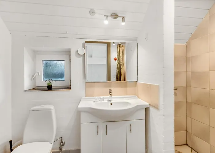 Tatil Evi Large Pool House With 6 Person Outdoor 1015 Ringkøbing